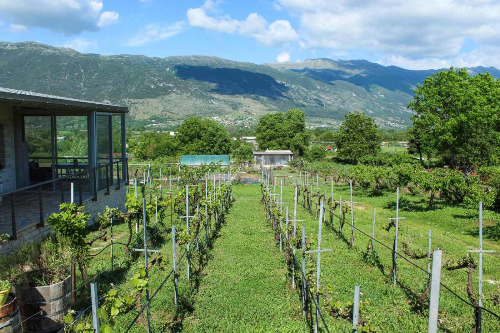 Stone & Vineyard *