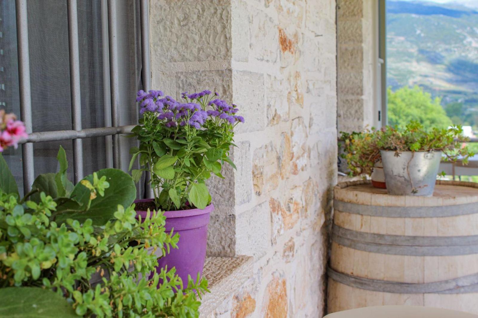 Stone & Vineyard